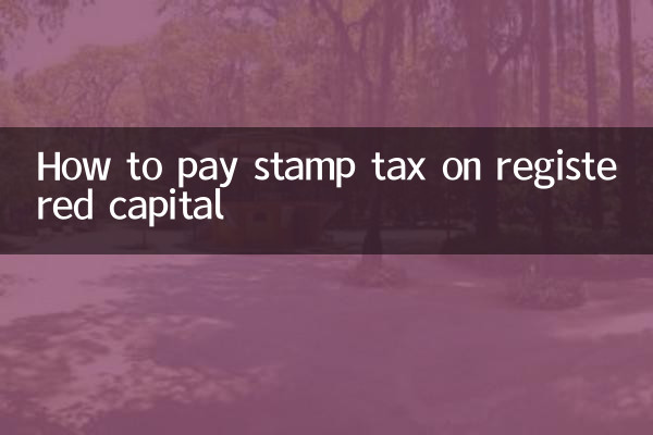 Cómo pagar el impuesto de timbre sobre el capital social