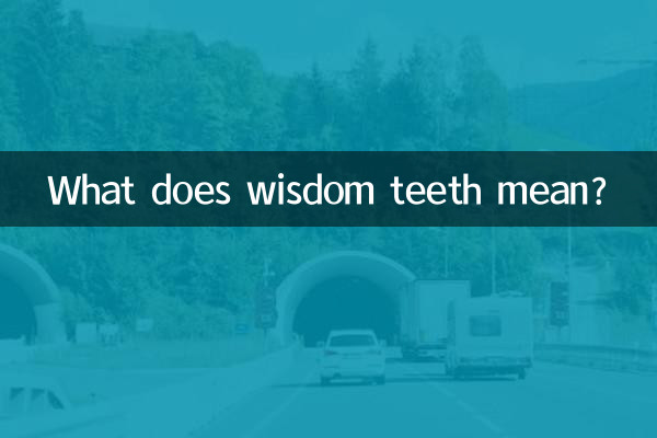 사랑니는 무슨 뜻인가요?