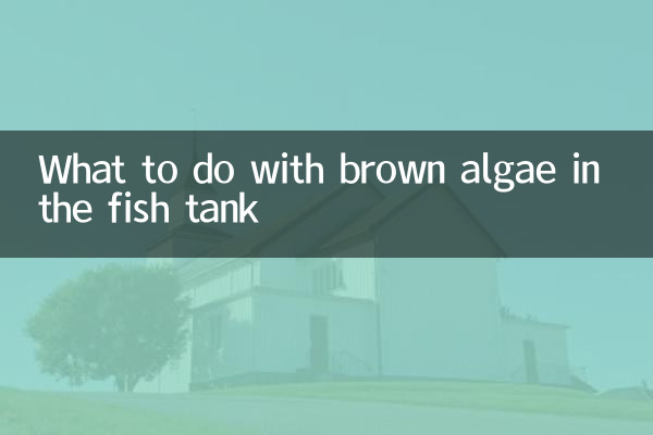 Que faire des algues brunes dans l'aquarium