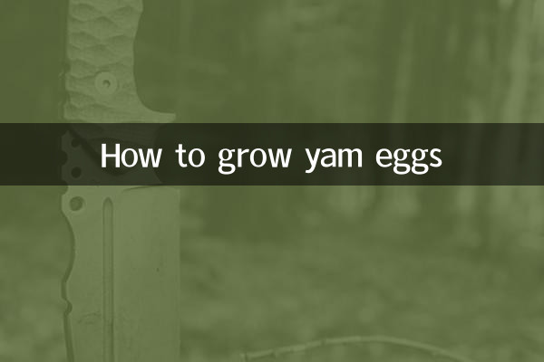 山药蛋怎么种植