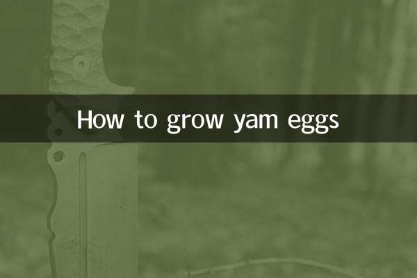 山药蛋怎么种植