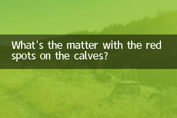 Was ist mit den roten Flecken an den Waden los?