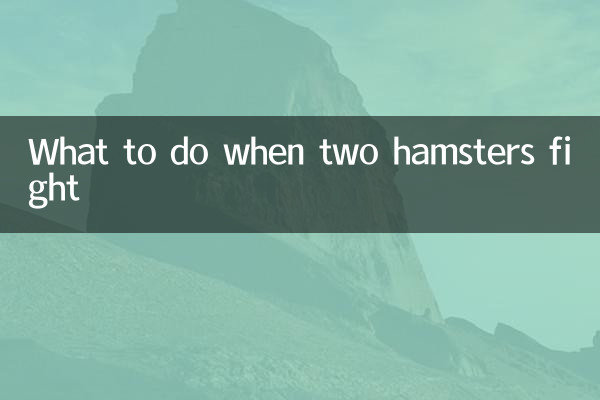 햄스터 두 마리가 싸울 때 대처 방법