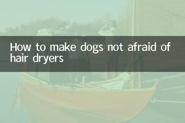Come fare in modo che i cani non abbiano paura degli asciugacapelli