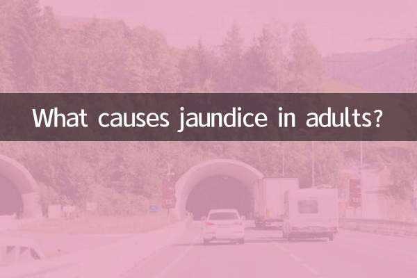 Cosa causa l’ittero negli adulti?