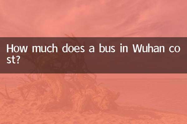 ووہان میں بس کی قیمت کتنی ہے؟
