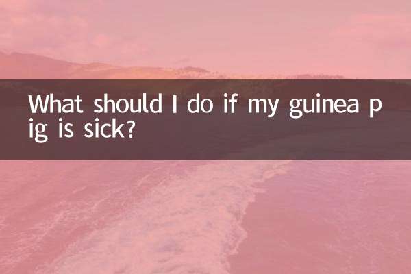 What should I do if my guinea pig is sick?