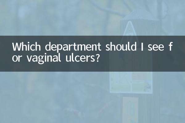 Qual departamento devo consultar para úlceras vaginais?