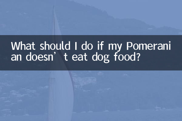 What should I do if my Pomeranian doesn’t eat dog food?