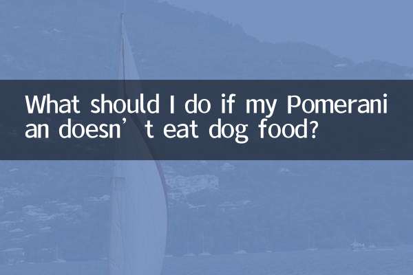 What should I do if my Pomeranian doesn’t eat dog food?