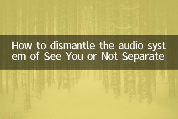 How to dismantle the audio system of See You or Not Separate