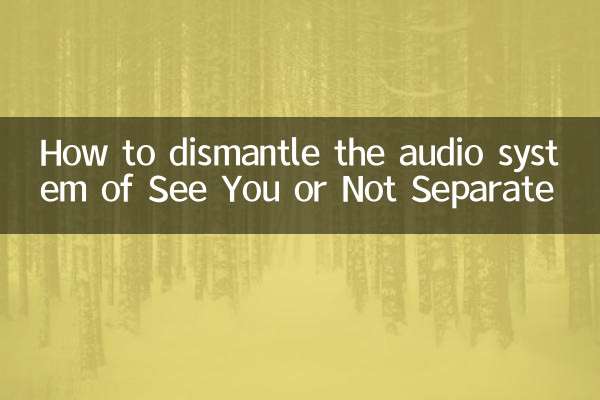 How to dismantle the audio system of See You or Not Separate