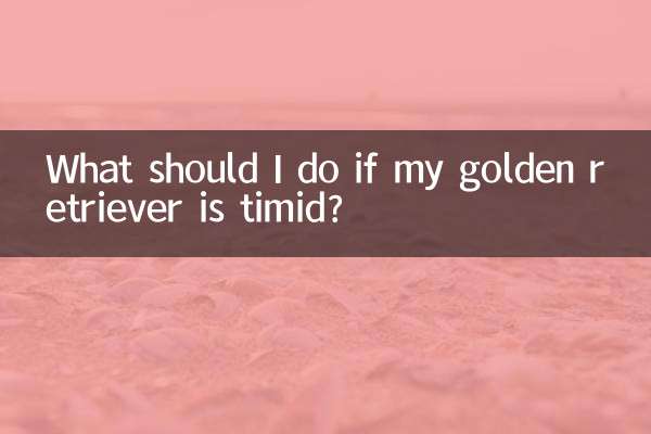 What should I do if my golden retriever is timid?