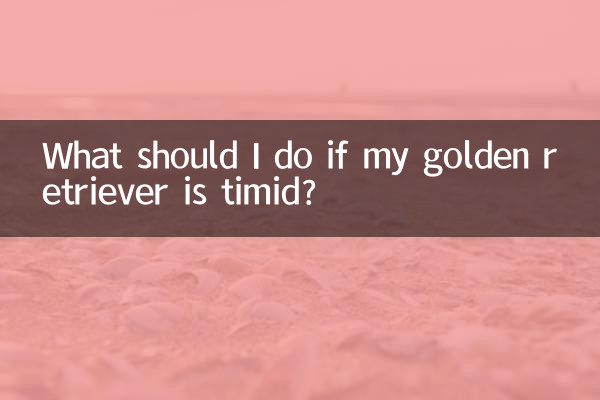 What should I do if my golden retriever is timid?