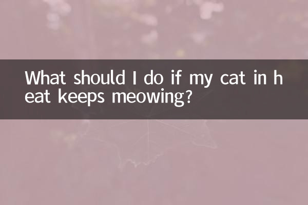 What should I do if my cat in heat keeps meowing?