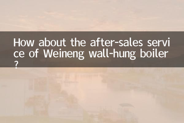 ওয়েইনেং ওয়াল-হং বয়লারের বিক্রয়োত্তর পরিষেবাটি কেমন?