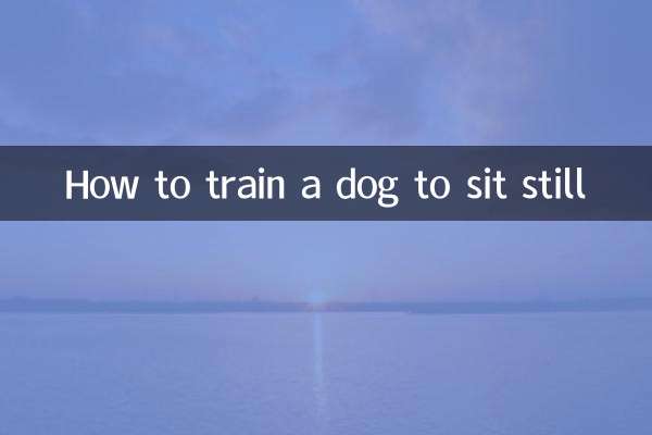 怎麼訓練狗狗坐定