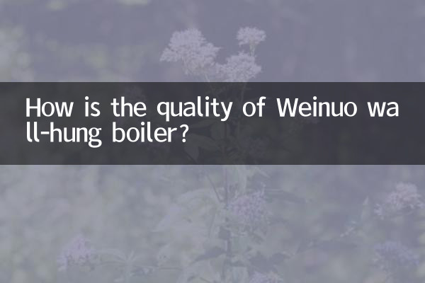 Com'è la qualità della caldaia murale Weinuo?