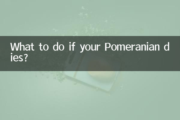 اگر پامرانیان شما بمیرد چه باید کرد؟