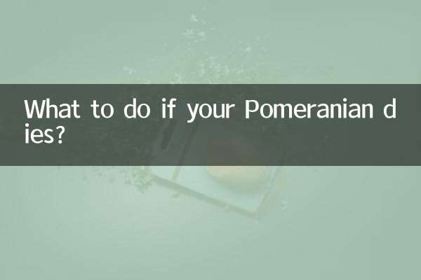 博美犬死了怎么处理