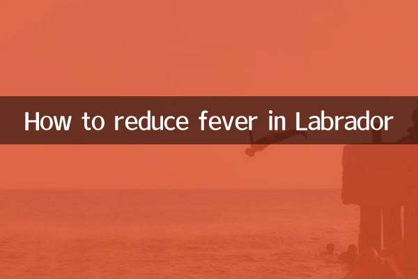 لیبراڈور میں بخار کو کیسے کم کریں