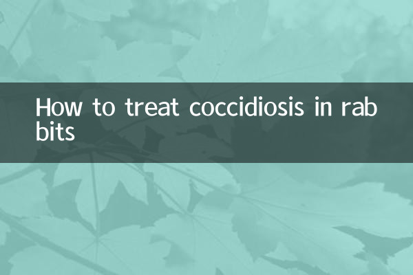 Wie behandelt man Kokzidiose bei Kaninchen?