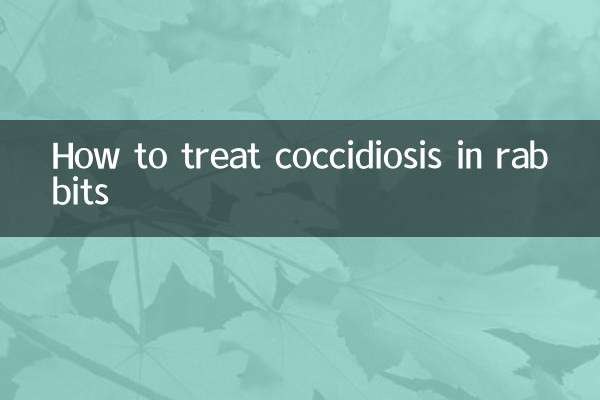 Wie behandelt man Kokzidiose bei Kaninchen?