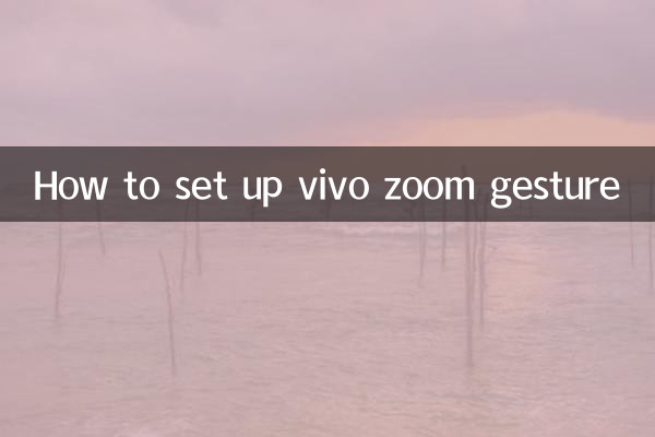 ویوو زوم اشارہ کیسے ترتیب دیں