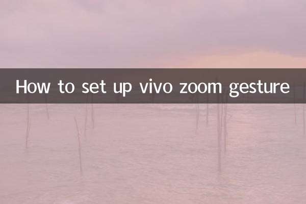 ویوو زوم اشارہ کیسے ترتیب دیں