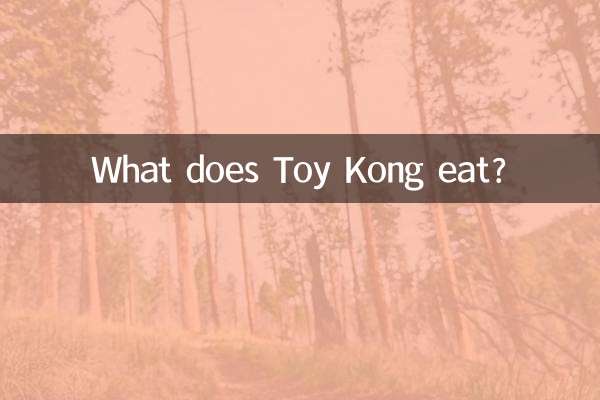 Cosa mangia Toy Kong?