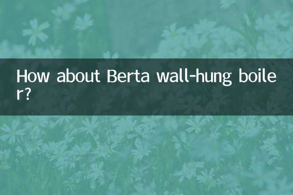 베르타 벽걸이보일러는 어떠세요?