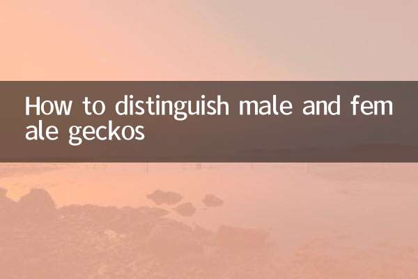 ヤモリのオスとメスの見分け方