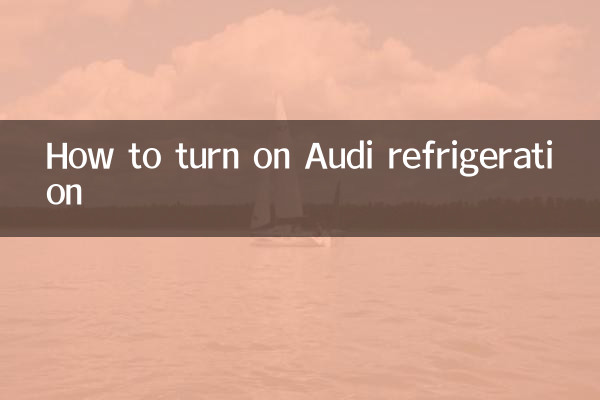 How to turn on Audi refrigeration