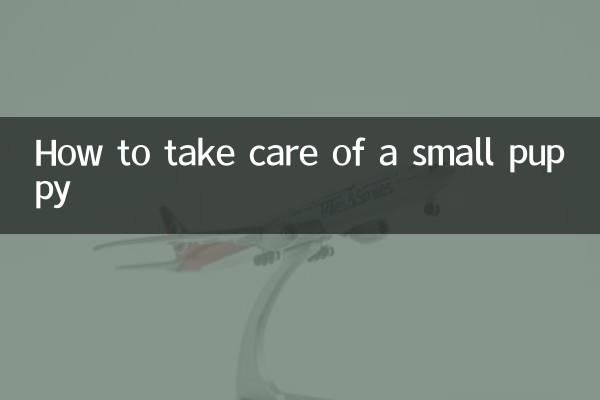 Come prendersi cura di un cucciolo piccolo