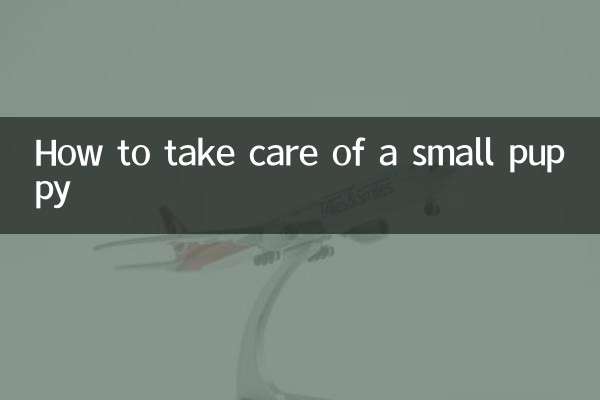 چگونه از یک توله سگ کوچک مراقبت کنیم