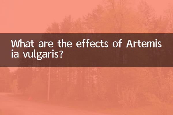 Quais são os efeitos da Artemisia vulgaris?