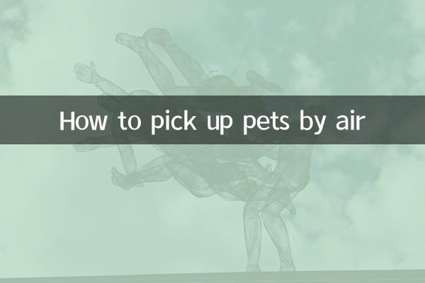 空运宠物怎么提货
