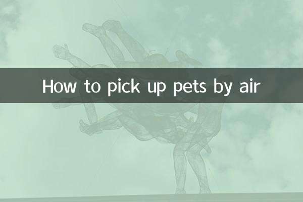 애완동물을 비행기로 픽업하는 방법
