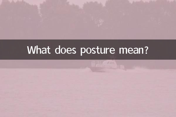 ¿Qué significa postura?