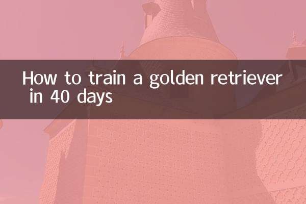 Comment dresser un golden retriever en 40 jours