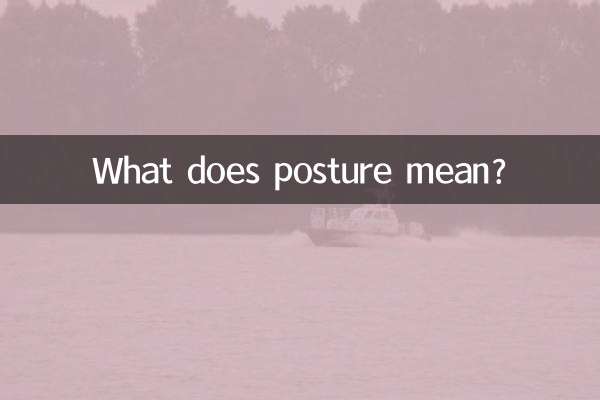 ¿Qué significa postura?