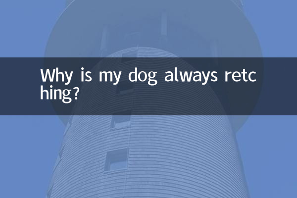 Pourquoi mon chien a-t-il toujours des haut-le-cœur ?