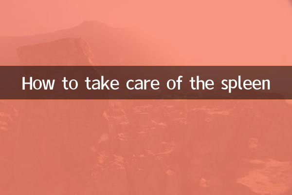 비장을 관리하는 방법