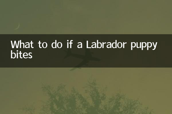拉布拉多幼犬咬人怎么办