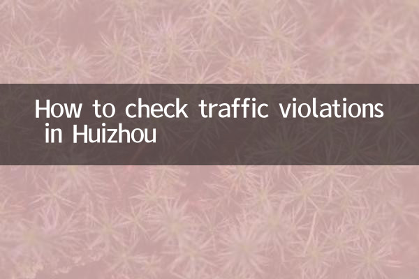 惠州怎么查违章