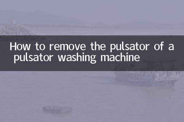 কিভাবে একটি পালসেটর ওয়াশিং মেশিন এর পালসেটর অপসারণ
