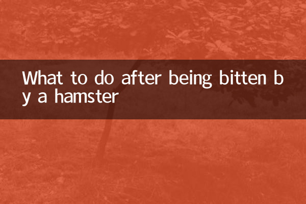 ハムスターに噛まれた後の対処法