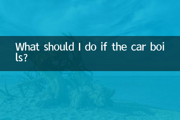 Que dois-je faire si la voiture bout ?