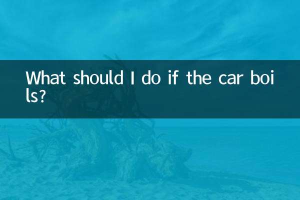 Que dois-je faire si la voiture bout ?