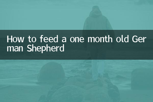 How to feed a one month old German Shepherd